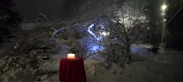 Kodukohvik